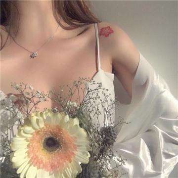 云开平台APP官方全站APP入口